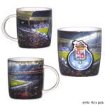 Caneca estádio FCP