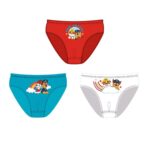 PAW PATROL - Set 3 slips