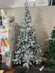 Pinheiro Natal c/neve