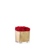 Cubo folha ouro c/rosas vermelhas