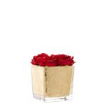 Cubo folha ouro c/rosas vermelhas