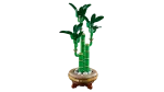 BOTANICALS Bambu da Sorte - Image 3