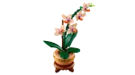 BOTANICALS Orquídea em miniatura - Image 2