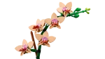 BOTANICALS Orquídea em miniatura - Image 3