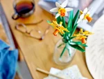 ICONS Narcisos - Image 2