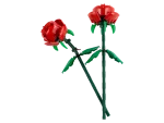 ICONS Rosas