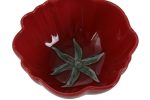 Tomate Vermelho - Tigela - Image 2