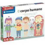Educativo O Corpo Humano
