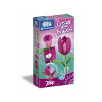IDEA Create your flower Tulip