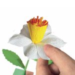 IDEA Create your flower Daffodil - Image 4