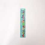 Régua 30cm Mr Wonderful