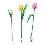 BOTANICALS Buquê de tulipas - Image 5