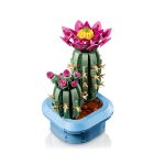 BOTANICALS Cato em flor - Image 2