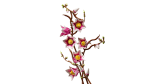 BOTANICALS Ramos de Magnólia - Image 3