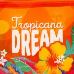 Bolsa de mão - Tropicana Dream - Image 4