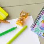 Afia com depósito - Teddy Bear - Image 4